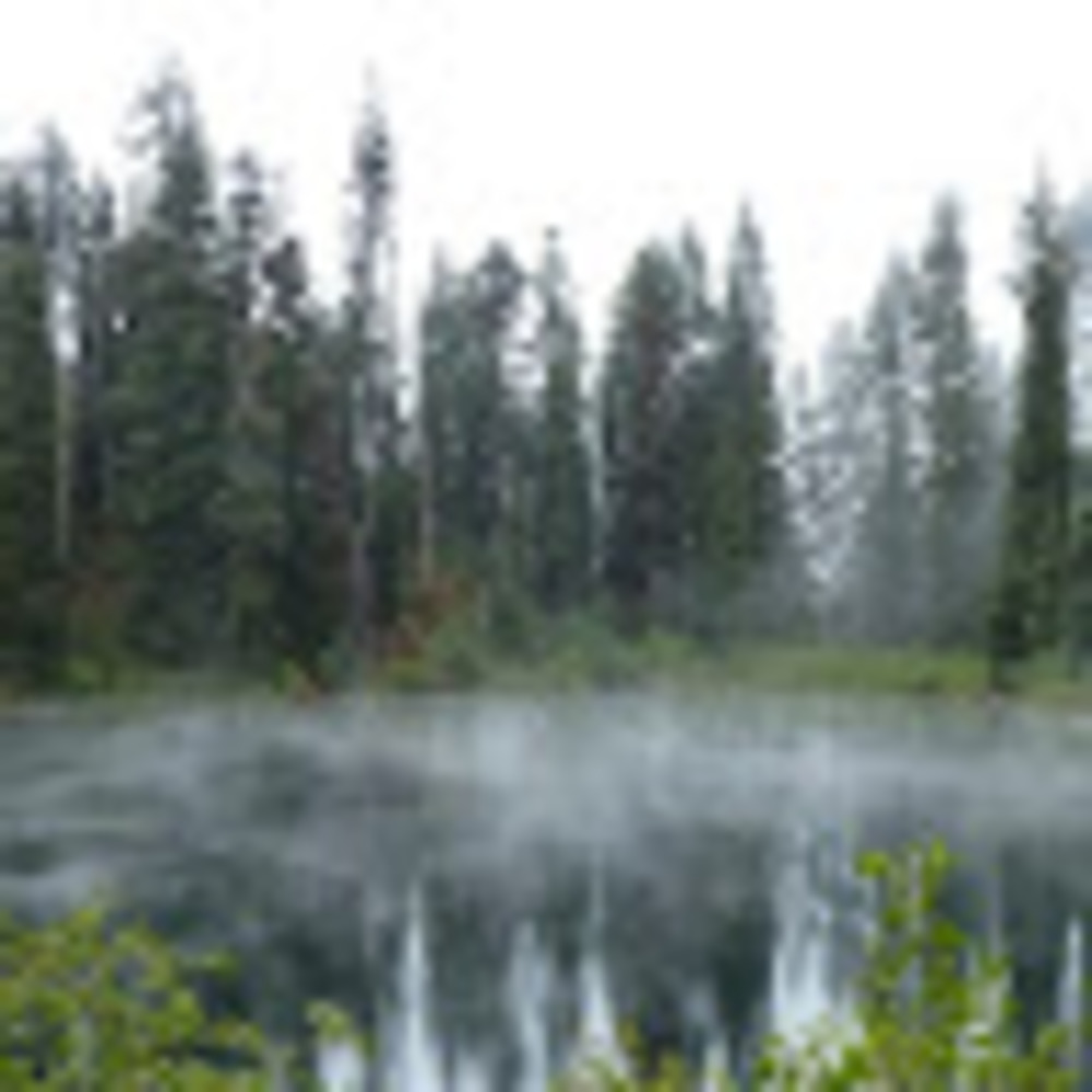 Meet your Posher, JRich